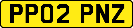 PP02PNZ