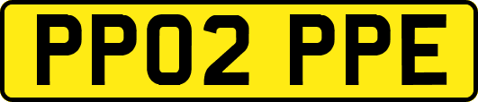PP02PPE