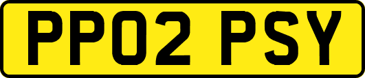 PP02PSY