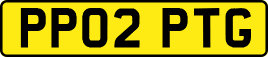 PP02PTG