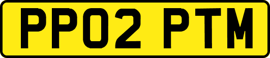 PP02PTM