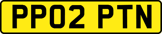 PP02PTN