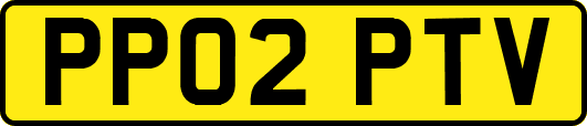 PP02PTV
