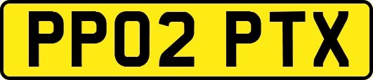 PP02PTX