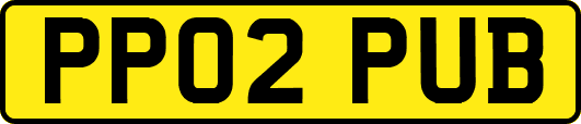 PP02PUB