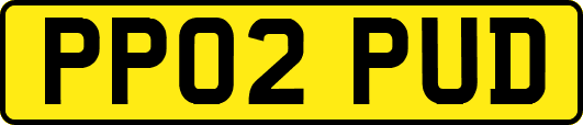 PP02PUD
