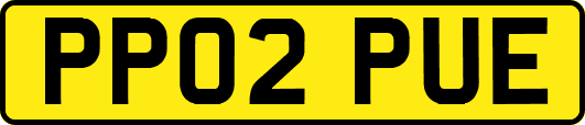 PP02PUE