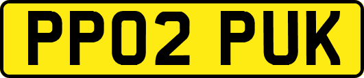 PP02PUK