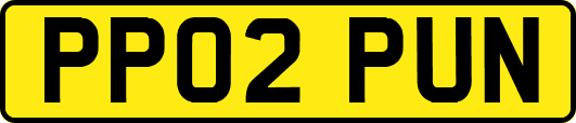 PP02PUN