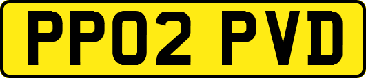 PP02PVD