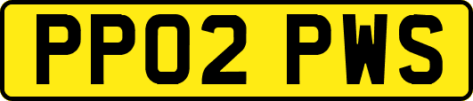 PP02PWS