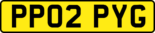 PP02PYG