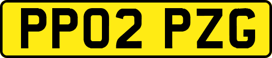 PP02PZG