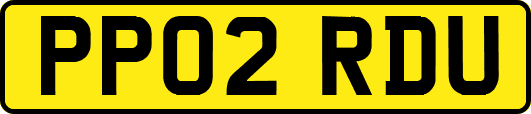 PP02RDU