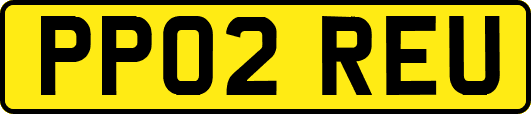 PP02REU