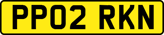 PP02RKN