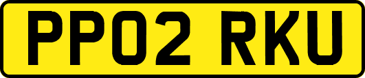 PP02RKU