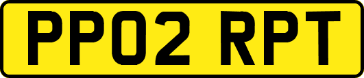 PP02RPT