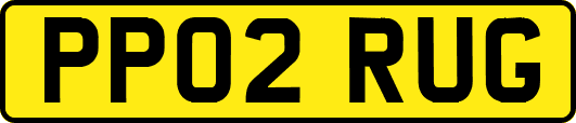 PP02RUG