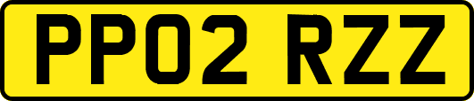PP02RZZ