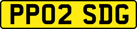 PP02SDG