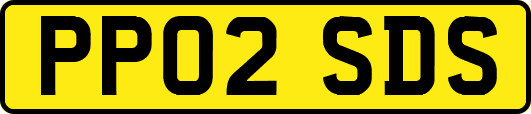 PP02SDS