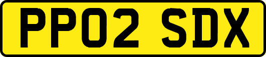 PP02SDX