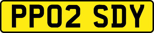 PP02SDY