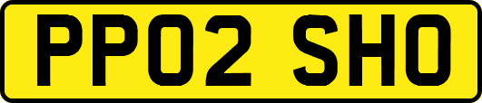 PP02SHO