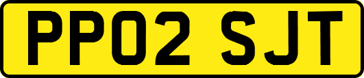 PP02SJT