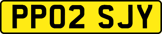 PP02SJY