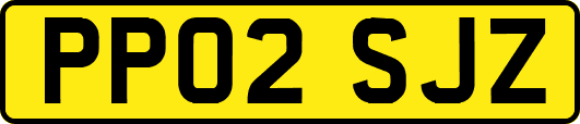 PP02SJZ