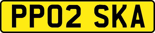 PP02SKA