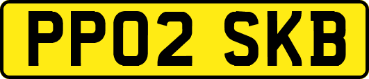 PP02SKB