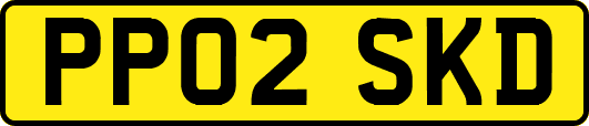 PP02SKD