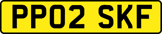 PP02SKF