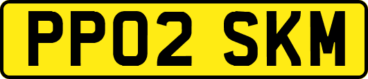 PP02SKM