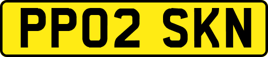 PP02SKN