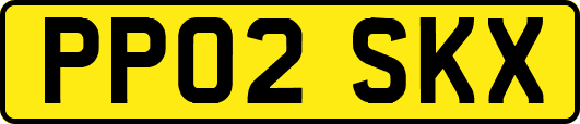 PP02SKX
