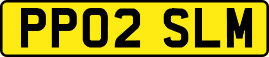 PP02SLM