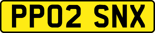 PP02SNX