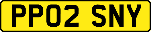 PP02SNY