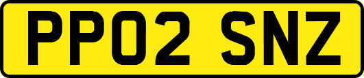 PP02SNZ