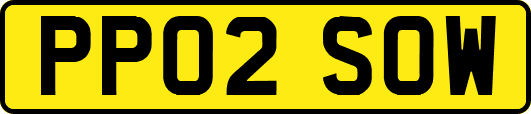 PP02SOW