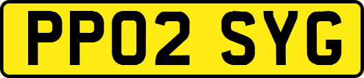 PP02SYG