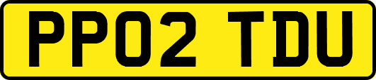 PP02TDU