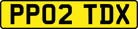 PP02TDX