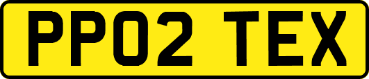 PP02TEX