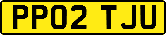 PP02TJU