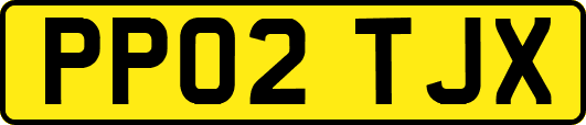 PP02TJX